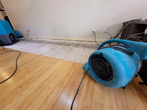 Professional Water Damage Repair technician working in Yorkville, OH